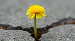 Resilience Woven In: Kumihimo and the Spirit of Renewal